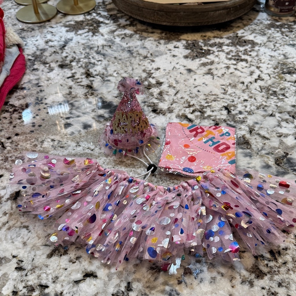 Dog Pink Party Skirt and Hat Set